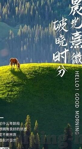 足球比分直播哪家好点-足球迷必看，足球比分直播平台哪家强？深度评测助你精准选择